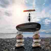 免​费​内‌容﻿营﻿销‌教‍程﻿下‍载‍